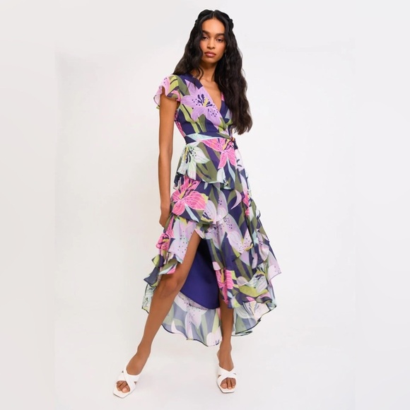 Hutch Anda Midi Dress - Picture 5 of 6